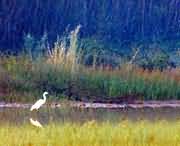 孟津天气预报40天