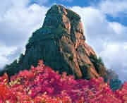 汝阳天气预报40天