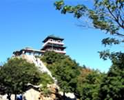 济源天气预报40天